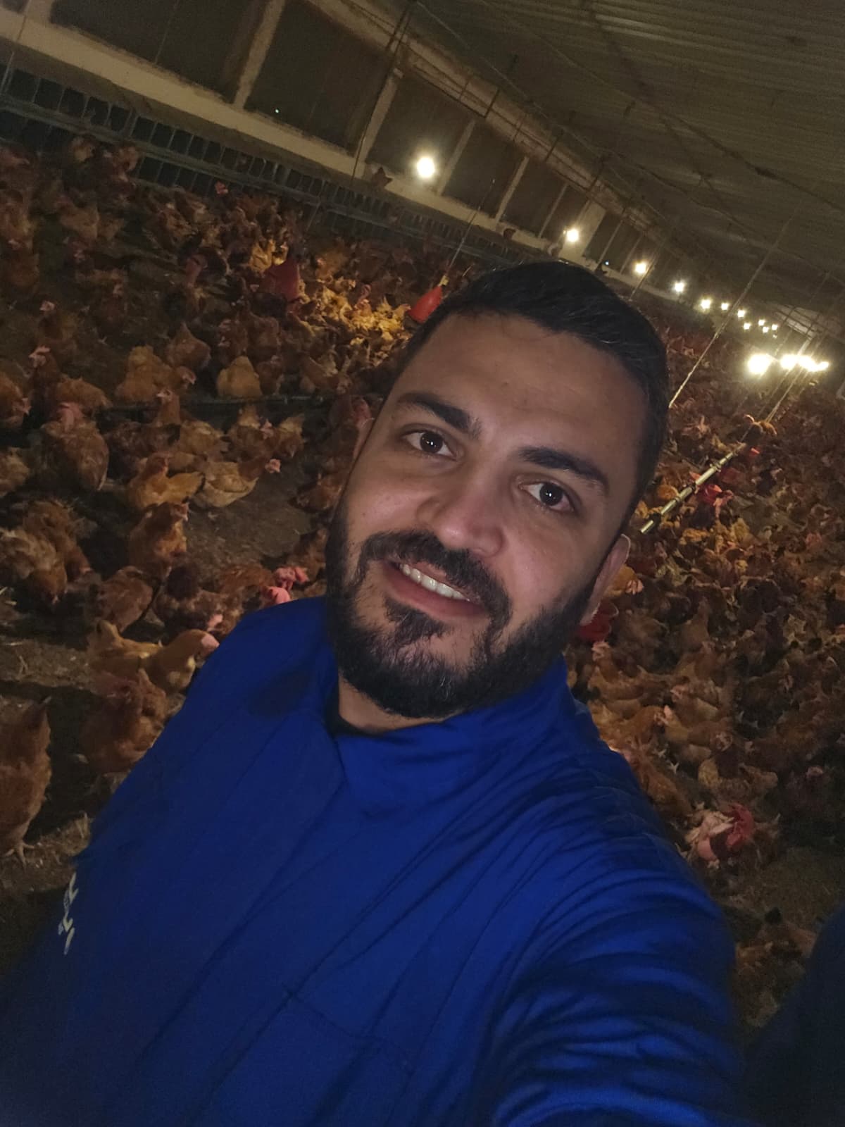 الإنتاج الحيواني