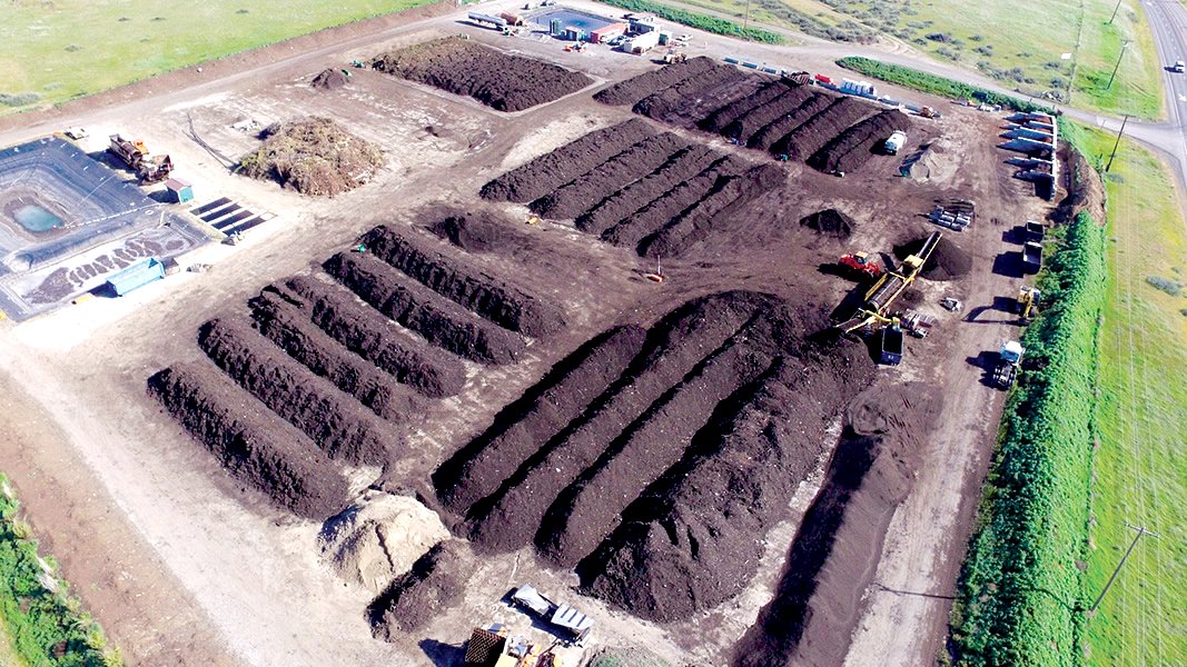 تدوير المخلفات الزراعية: ثروة خضراء تنتظر من يستثمرها