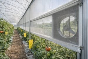 الشبك المانع للحشرات في البيوت المحمية